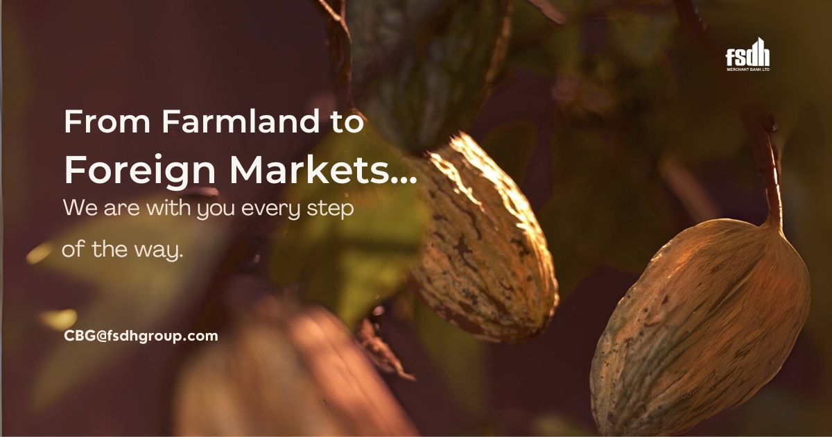 How to fund agribusiness in Nigeria